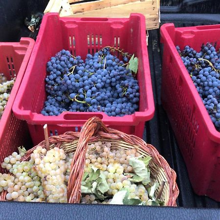 فيلا Castello Di Valenzano أريتسو المظهر الخارجي الصورة